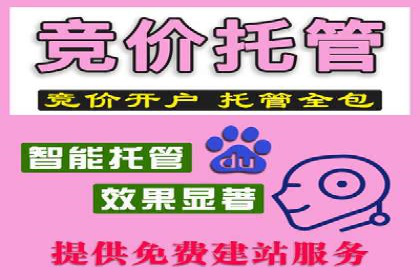 精准投放，效果惊人：百度推广代理商经典案例